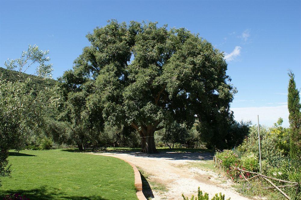 Azienda Agricola Il Bagolaro Nerola Exterior photo