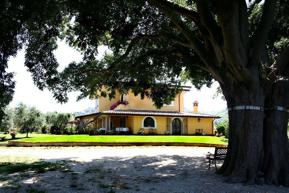 Azienda Agricola Il Bagolaro Nerola Exterior photo