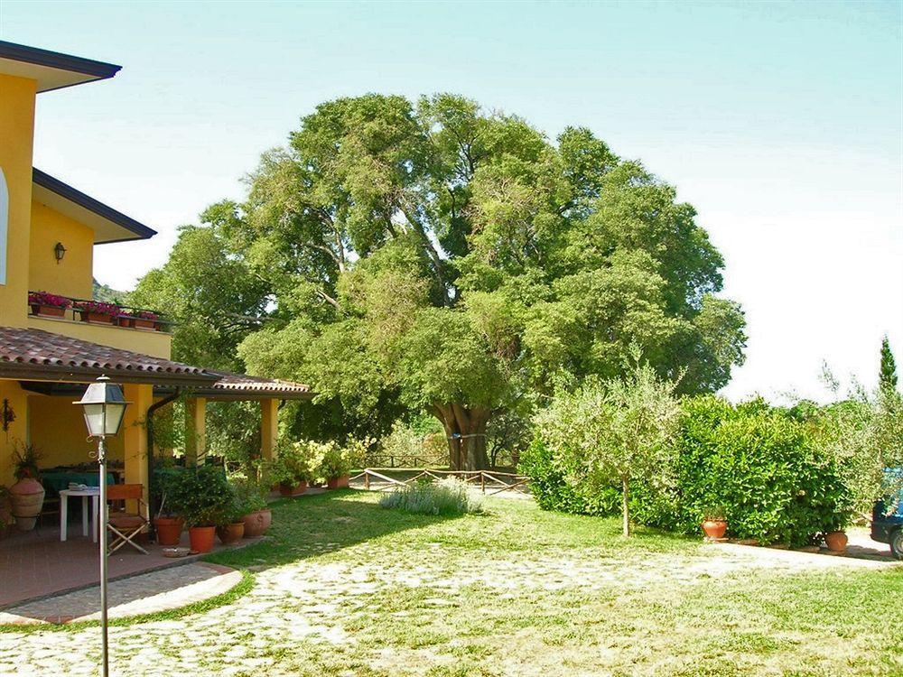 Azienda Agricola Il Bagolaro Nerola Exterior photo